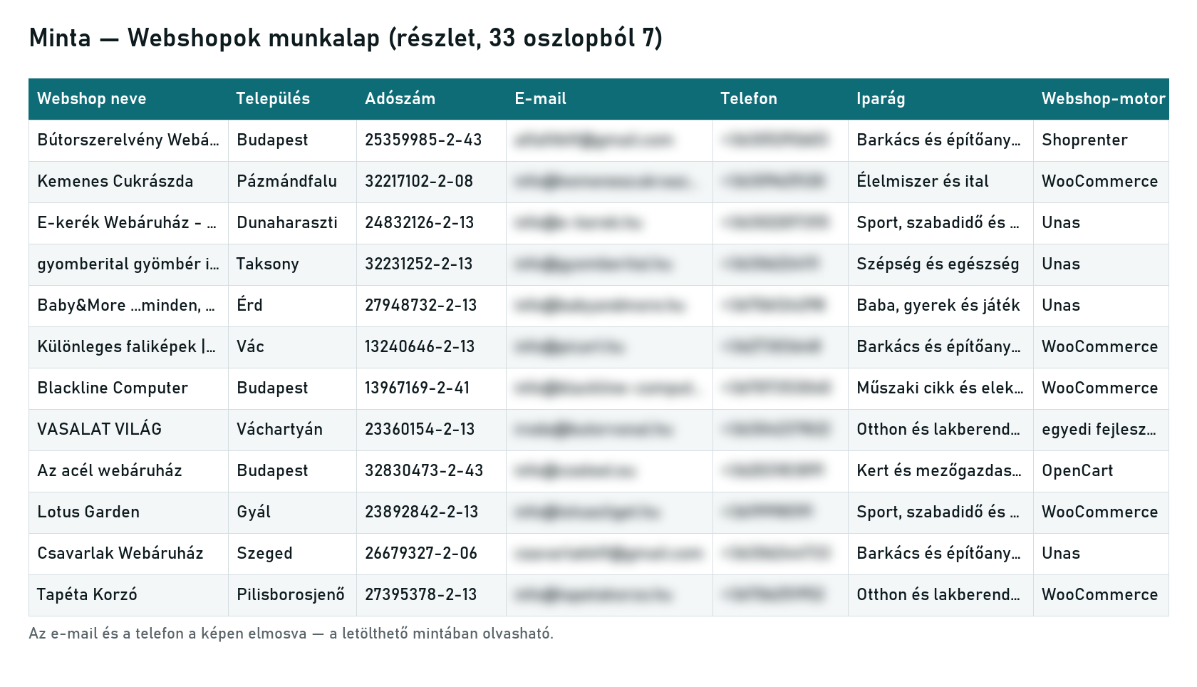 Minta a Webshopok munkalapból — név, település, adószám, iparág, bolti rendszer