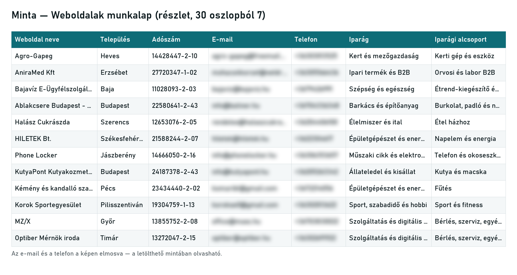Minta a Weboldalak munkalapból — név, település, adószám, iparág